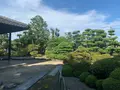 旧野﨑家住宅の写真_369409