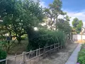 旧野﨑家住宅の写真_369415