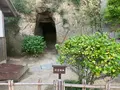 旧野﨑家住宅の写真_369419