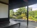 旧野﨑家住宅の写真_369422