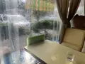 サンレモンの写真_369450