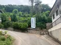 極楽寺の写真_369626
