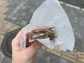 （有）ヤッサ饅頭本舗 本店の写真_369629