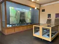 竹原市歴史民俗資料館の写真_370392