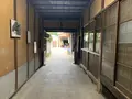 藤井酒造の写真_370425