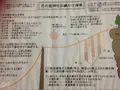 花の窟の写真_37084