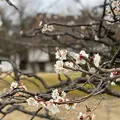 桂離宮の写真_371099