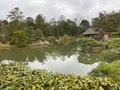 桂離宮の写真_371124