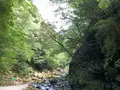 天安河原の写真_371233