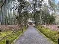 地蔵院（竹の寺）の写真_371328