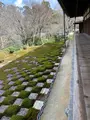 東福寺の写真_371364