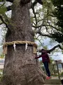 新熊野神社の写真_371379
