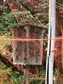 京都御苑の写真_371394