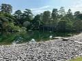 京都御所の写真_371395