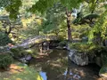 京都御所の写真_371403