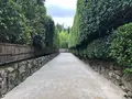銀閣寺(東山慈照寺)の写真_371428