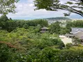 銀閣寺(東山慈照寺)の写真_371435