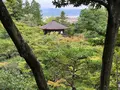 銀閣寺(東山慈照寺)の写真_371439