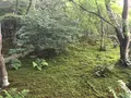 宝筐院の写真_371447