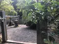 宝筐院の写真_371451