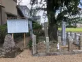 篠村八幡宮の写真_371459