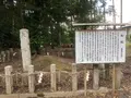 篠村八幡宮の写真_371464