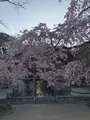 醍醐寺の写真_371475