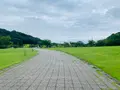 総合公園バンブージョイハイランドの写真_371646
