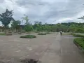 せら夢公園の写真_371768