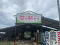花の駅せらの写真_371779