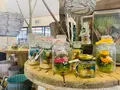 花の駅せらの写真_371787