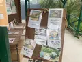 香山ラベンダーの丘の写真_371800