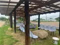 香山ラベンダーの丘の写真_371805