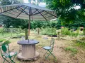 香山ラベンダーの丘の写真_371809