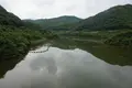 夢吊橋の写真_371855