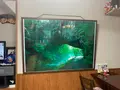 弥生食堂の写真_371939