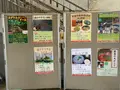 国営備北丘陵公園の写真_371988