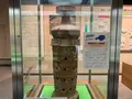 みよし風土記の丘の写真_372021