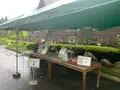 湧永満之記念庭園の写真_372050