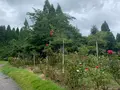 湧永満之記念庭園の写真_372051