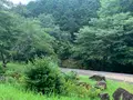 ほたる見公園の写真_372119