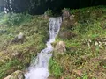ほたる見公園の写真_372122