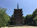 醍醐寺の写真_372192