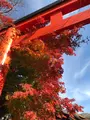 下鴨神社（賀茂御祖神社）の写真_372221