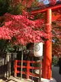 下鴨神社（賀茂御祖神社）の写真_372223