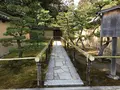 高桐院の写真_372347