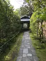 高桐院の写真_372349