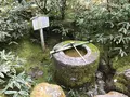高桐院の写真_372362