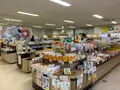 マリンオアシスはかたの写真_372606