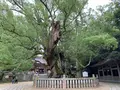 大山祇神社の写真_372626